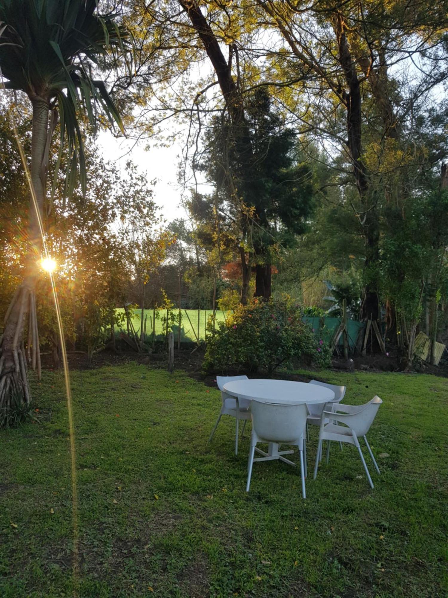 סטורמסריבייר Elephants Loft מראה חיצוני תמונה
